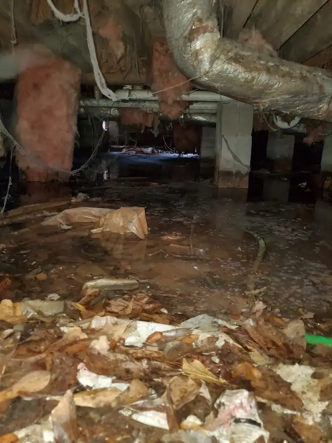 Crawl space flood assessment for Leak Detection & Repair in Potsdam